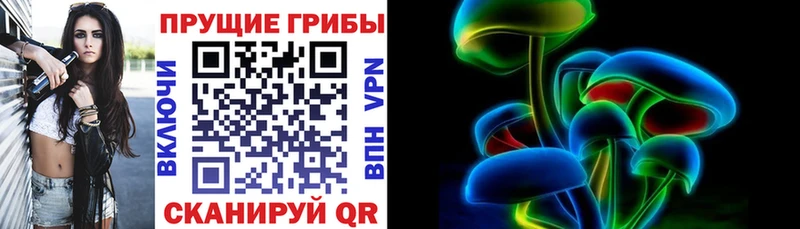 Купить Когалым Псилоцибиновые грибы мицелий
